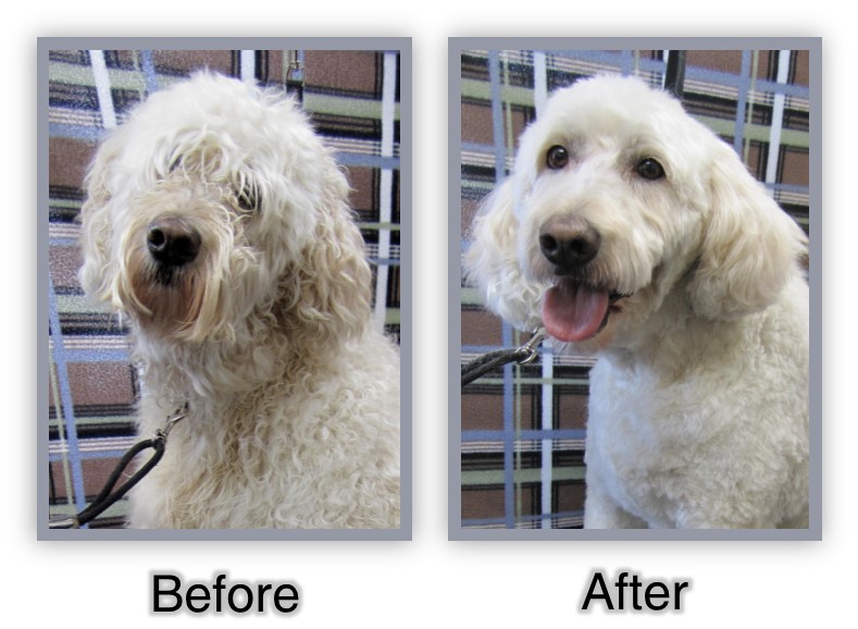 Anny before and after