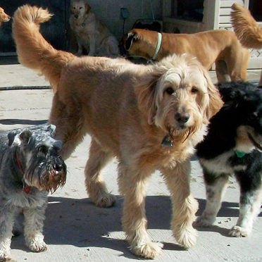 image_main image_main