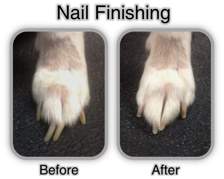 Nail Filing before_after